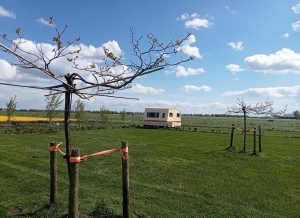 Ruimte in overvloed op de  camping in Noord-Holland